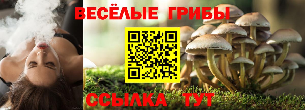 Галлюциногенные грибы Psilocybine cubensis  Вход с VPN  Орск  Псилоцибиновые грибы мухоморы 