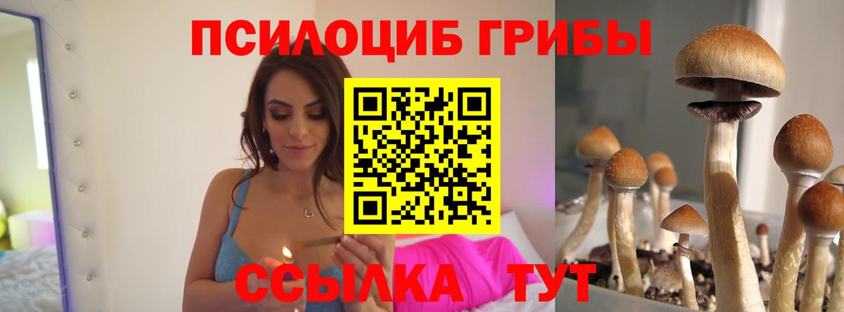 Псилоцибиновые грибы Magic Shrooms Орск